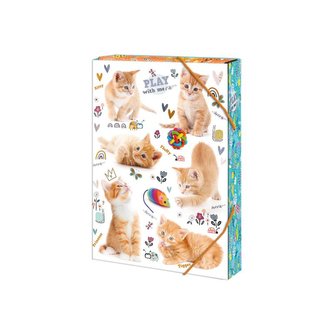 Box na zošity A4 Cats