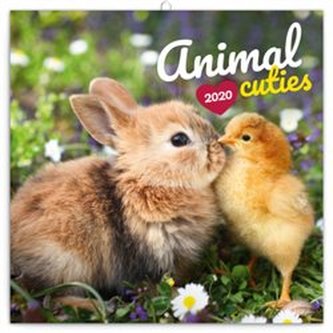 Poznámkový kalendář Mláďata 2020, 30 × 30 cm