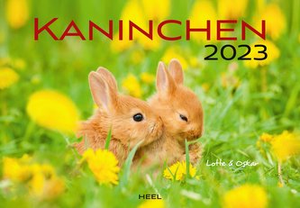 Kaninchen 2023