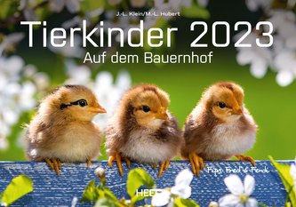 Tierkinder auf dem Bauernhof 2023