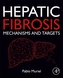 Hepatic Fibrosis