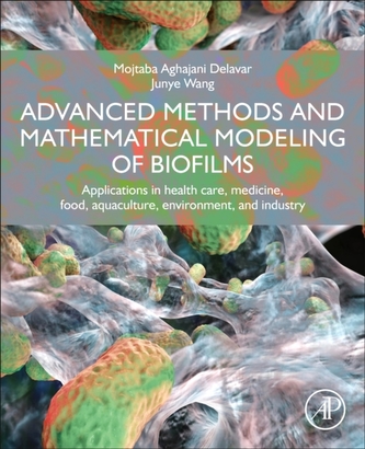 Advanced Methods and Mathematical Modeling of Biofilms