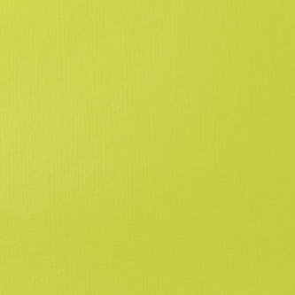 Akrylová barva Basics 118ml – 840 brilliant yellow green