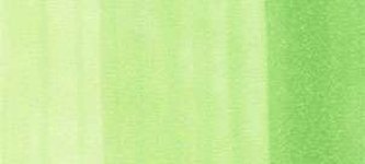 Copic sketch marker – YG05 salad