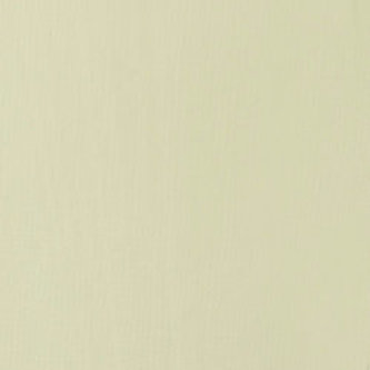 Akrylová barva Basics 118ml – 436 parchment