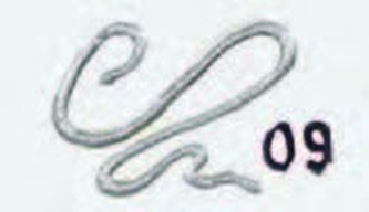 Renesans Liner Deco 20ml – Stříbrná