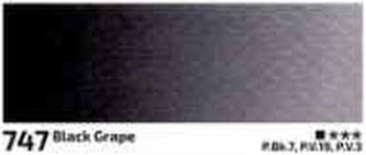 Akvarelová barva Rosa 2,5ml – 747 black grape
