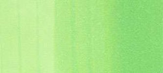 Copic sketch marker – YG06 yellowish green
