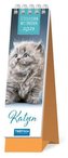 Lesezeichenkalender "Katzen" 2023