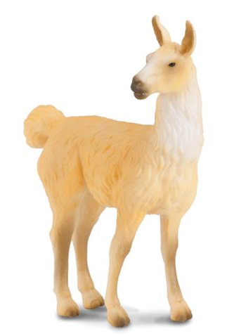 Lama