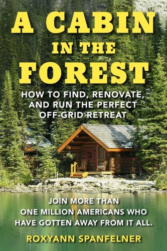 A Cabin in The Forest
