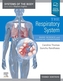 The Respiratory System
