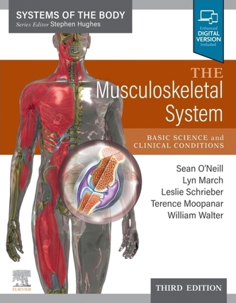 The Musculoskeletal System
