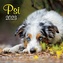 Kalendář 2023 Psi, nástěnný
