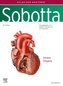 Sobotta, Atlas der Anatomie Band 2