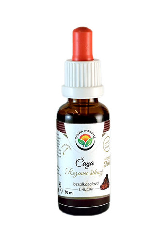 Salvia Paradise Čaga - Rezavec šikmý AF tinktura 30 ml