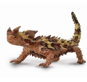 COLLECTA Moloch ostnitý