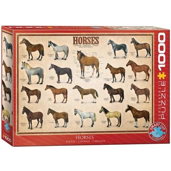 Puzzle 1000 Konie