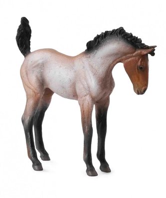 Koń źrebię Mustang maści gniadej