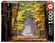 Puzzle 1000 Jesienny spacer G3