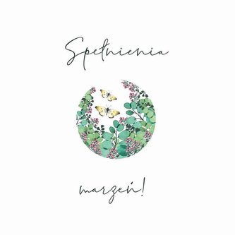 Karnet Swarovski kwadrat CL4012_PO Marzenia