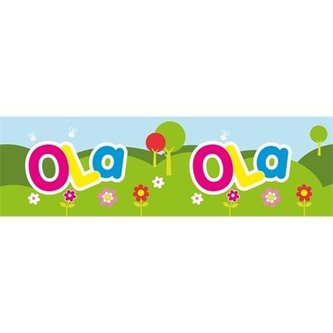 Bidon 300ml Ola
