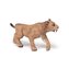 Mladý Smilodon
