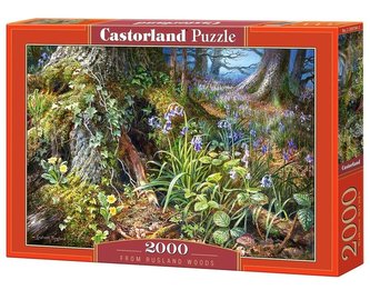 Puzzle 2000 Z lesa v Rusku CASTOR