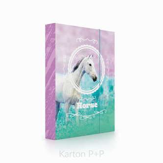 Box na sešity A4 Jumbo kůň romantic