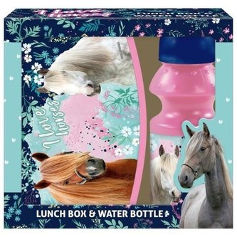 Zestaw śniadaniówka+bidon Piłka 17 DERFORM