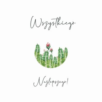 Karnet Swarovski kwadrat CL4011_PO Najlepszego