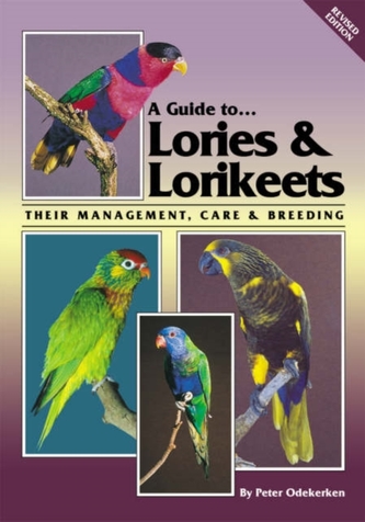 Lories and Lorikeets