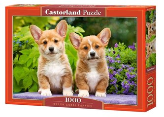Puzzle 1000 šteniatok Welsh Corgi CASTOR