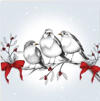 Karnet Swarovski kwadrat CL0808_BL Święta Ptaszki