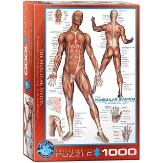Puzzle 1000 Człowiek