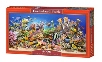 Puzzle 4000 Podmorský život CASTORA