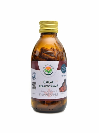 Salvia paradise - Čaga rezavec šikmý 120 kapslí  Chaga