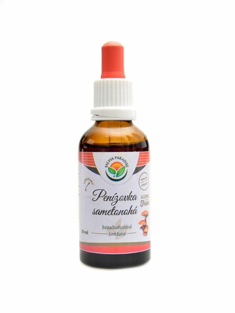 Salvia paradise - Peniazovka sametonohá AF tinktúra 50ml