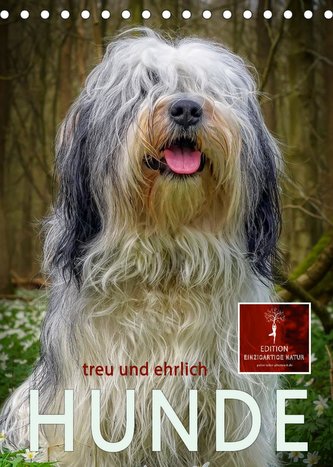 Hunde - treu und ehrlich (Tischkalender 2023 DIN A5 hoch)