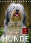 Hunde - treu und ehrlich (Tischkalender 2023 DIN A5 hoch)