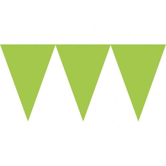 Vlajka světle zelená 450cm