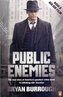 Public Enemies