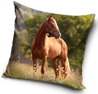 POVLAK NA POLŠTÁŘ KONĚ