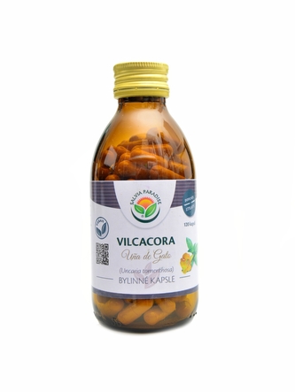 Salvia paradise - Vilcacora 120 kapslí  Uncaria tomentosa