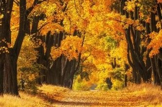 Kalendarz 2023 Trójdzielny