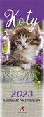 Kalendarz 2023 Pocztówkowy Psy ARTSEZON