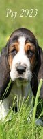 Kalendarz 2023 Ścienny pasek Psy
