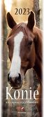 Kalendarz 2023 Pocztówkowy Konie ARTSEZON