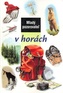 Mladý pozorovatel v horách