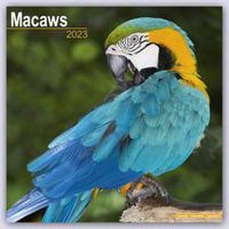Macaws - Ara-Papageien - Aras 2023 - 16-Monatskalender